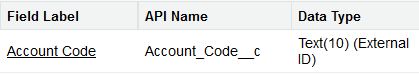 Salesforce Account External Id