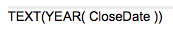 Salesforce Opportunity Reporting Close Year Text